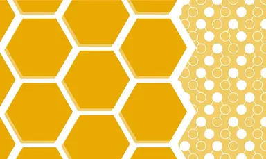 Big Data Developer - Mr Instructor LMS Course